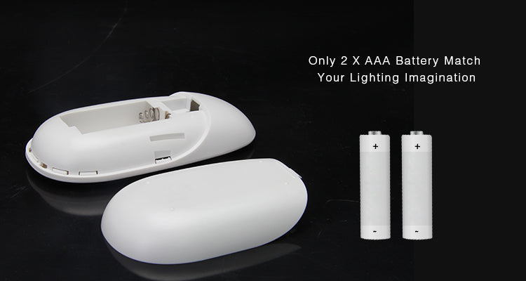 2.4G 4 Zone with RF CCT Remote Control