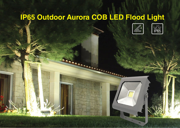Holiday time cheap led floodlight