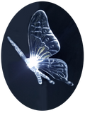 FluxTech - Fairy Butterfly 12 x White Colour LED String Lights by JustLED – Timer function - Battery Operated