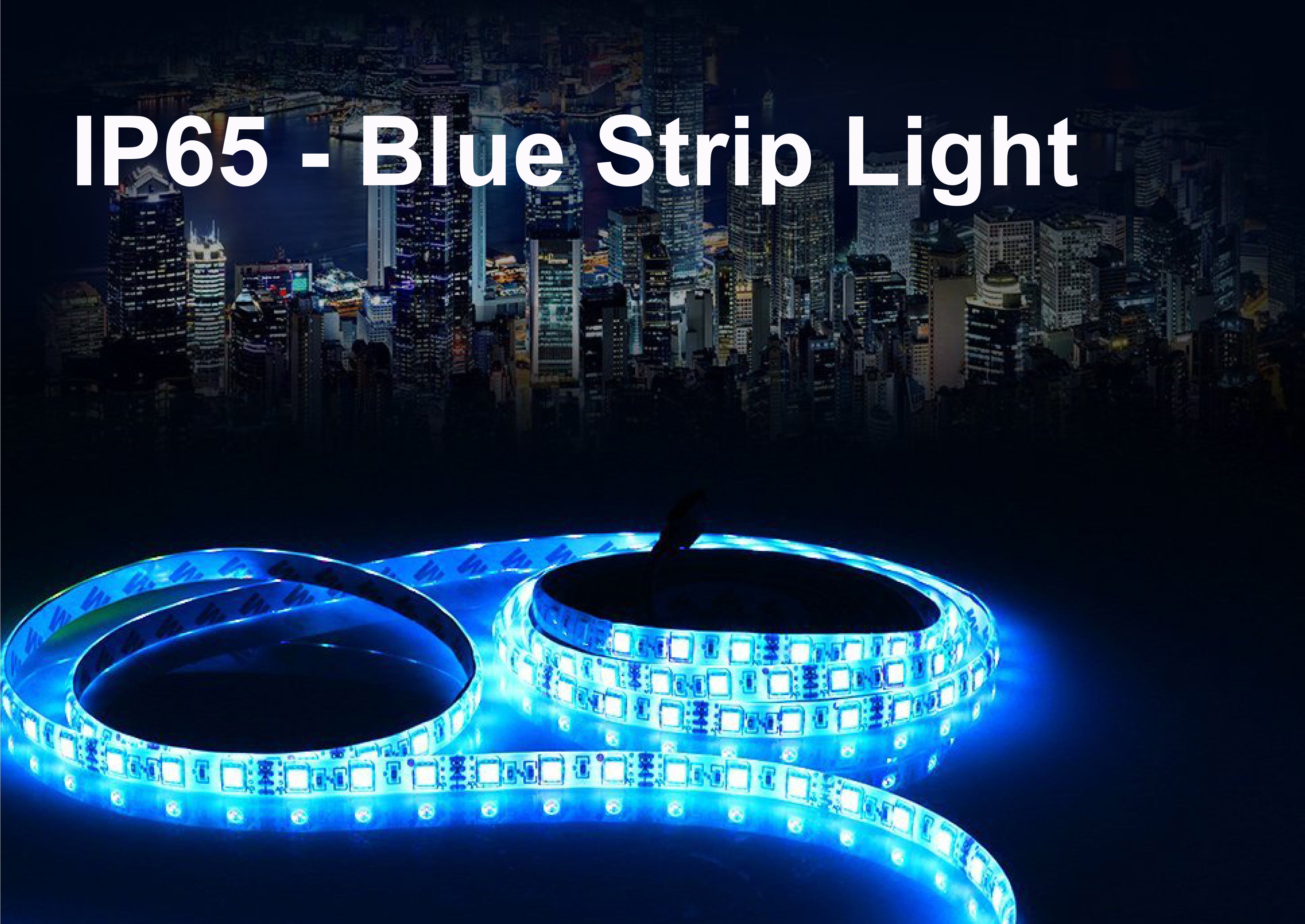 Waterproof IP65 High Power Blue Colour Strip Light - Low Voltage