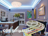 FluxTech – IP20 12VDC 5M COB LED Strip, 528 LEDs/M LED Strip Light