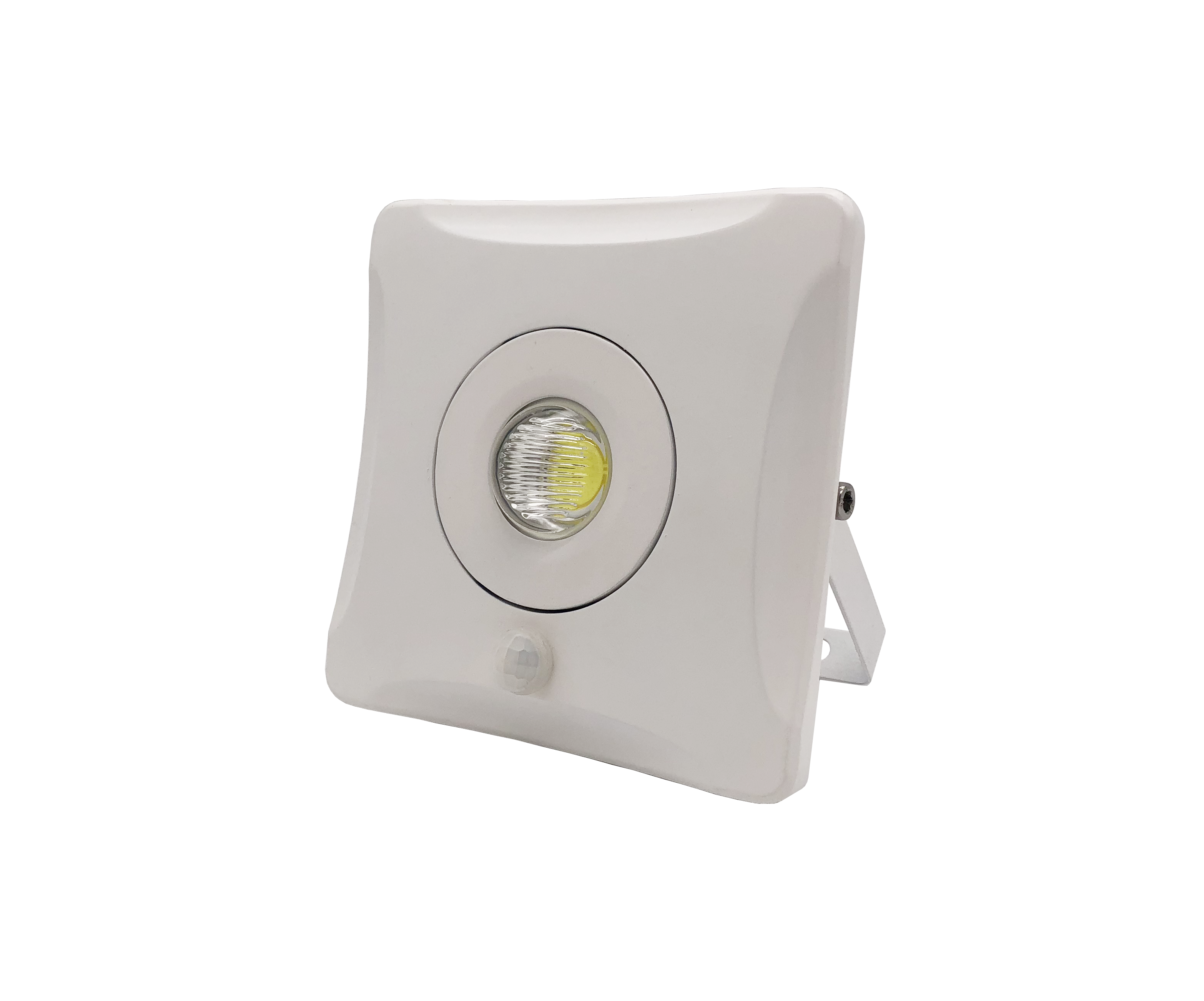 IP65 Outdoor Pearl Eye Stylish LED PIR Flood Lights FluxTech LED