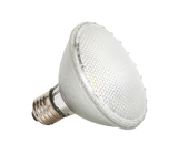 PAR38 LED Spot Lamp - 15W