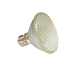 PAR30 LED Spot Lamp - 11W