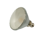 PAR38 LED Spot Lamp - 15W